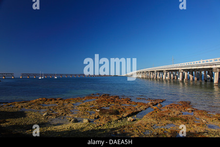 Unteren Bahia Honda State Park, Florida Keys, Brücke zwischen den Tasten, USA, Florida Stockfoto