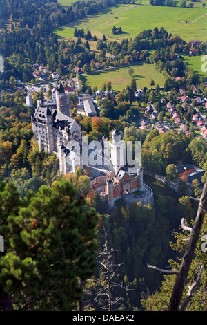 Schloss Neuschwanstein, Deutschland, Bayern, Schwangau Stockfoto