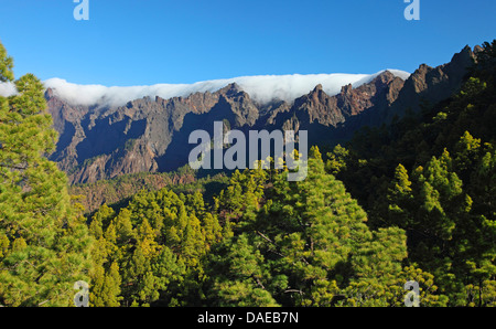 Caldera de Taburiente, Blick in die Caldera, Kanarische Inseln, La Palma Stockfoto