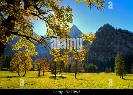 Ammergauer Alpen im Herbst, Geiselstein im Hintergrund, Deutschland, Bayern, Oberbayern, Oberbayern, Wankerfleck Stockfoto