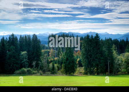 Blick vom Alpenvorland nach Deutschland, Bayern, Oberbayern, Ammergauer Alpen, Oberbayern Stockfoto