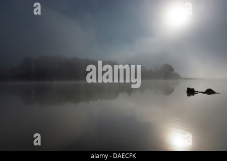 See im Morgennebel, Poehl, Vogtlaendische Schweiz, Sachsen, Deutschland Stockfoto