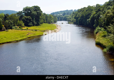 Fluss Wye aus nachgelagerten Erwood Powys Mid Wales UK Stockfoto