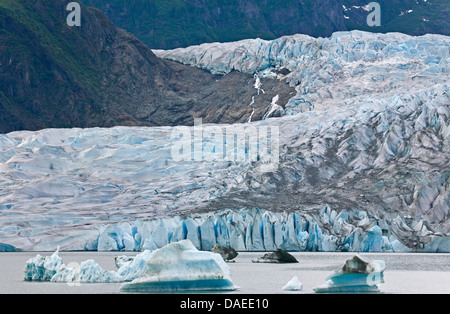 Mendenhall Gletscher und Eisberge, USA, Alaska Juneau Stockfoto