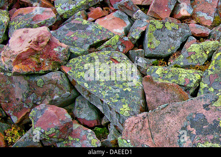 Karte von Flechten (Rhizocarpon Geographicum), auf Felsen Stockfoto