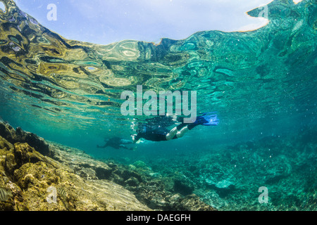 Schnorchler mit Blick in Richtung Oberflächenreflexe in die Kaoho Gezeitentümpel südlich von Hilo, Big Island, Hawaii, USA Stockfoto