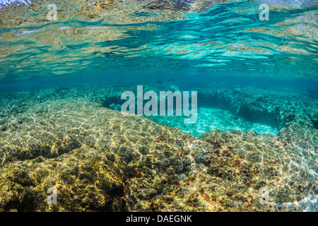 Sehen Sie in Richtung Oberfläche mit Korallen Reflexionen über Wellen in der Kaoho-Gezeiten-Pools südlich von Hilo, Big Island, Hawaii, USA Stockfoto