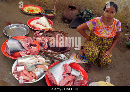 Frau verkaufen Fisch auf dem Markt, Burma, Bagan Stockfoto