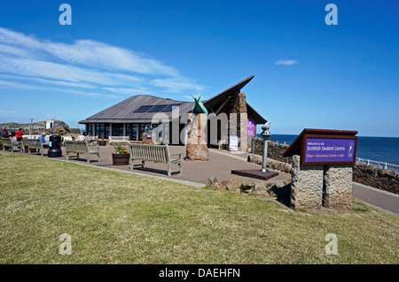 Das Scottish Seabird Centre am Hafen in North Berwick East Lothian Schottland Stockfoto