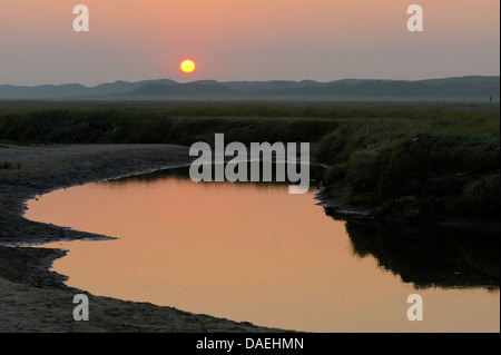 Priel in Salzwiesen bei Sonnenaufgang, Niederlande, Texel, De Slufter Stockfoto