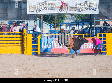 Cowboy-Teilnehmer in einem Bullenreiten Wettbewerb beim Helldorado Tage Professional Rodeo in Las Vegas Stockfoto