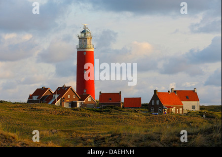 Eierland Leuchtturm am nördlichsten Zipfel von der niederländischen Insel Texel in Morgen Licht, Niederlande, Texel Stockfoto