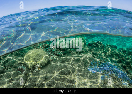 Über-unter Sicht auf die Kaoho Gezeiten-Pools (Wai'opae Tidepools Marine Life Conservation District), in der Nähe von Hilo, Hawaii, USA Stockfoto