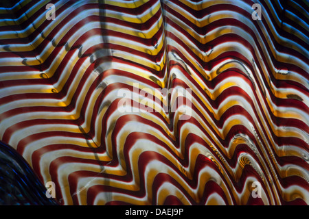 in rot, weiß und blau, Glas Muster abstrakt Stockfoto