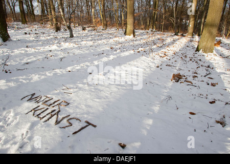 Schreiben Sie "Naturkunst - Natur-Kunst" im Schnee, Deutschland Stockfoto