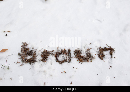 Wald im Schnee, Deutschland Boden gemacht schreiben "Braun - braun" Stockfoto