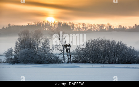 Schneelandschaft mit Bodennebel im Morgenlicht, Deutschland, Bayern, Isental Stockfoto