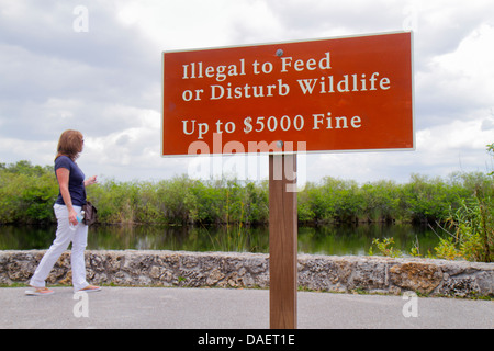 Miami Florida, Florida City, Everglades National Park, Main Park Road, Royal Palm Visitors Center, Zentrum, Schild, Logo, illegal zu füttern oder zu stören Tierwelt, Flosse Stockfoto