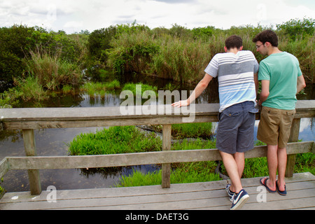 Miami Florida, Florida City, Everglades National Park, Main Park Road, Royal Palm Visitors Center, Zentrum, Anhinga Trail, Mann Männer Erwachsene Erwachsene Erwachsene, Freunde, l Stockfoto