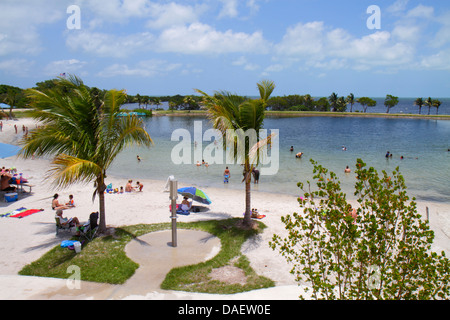 Miami Florida, Homestead, Homestead Bayfront Park, Biscayne Bay, Sonnenanbeter, Familien, Palmen, Strand, Sand, FL130518127 Stockfoto