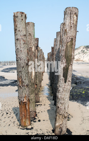 Experimentelle Wellenbrecher installiert am Strand von Wissant in Nordfrankreich Stockfoto