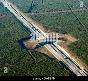 Datei - ein Archiv Bild datiert 25. November 2011 zeigt die polnische Autobahn A2 und eine Tierwelt Brücke abgebildet aus einem kleinen Flugzeug nahe der deutsch-polnischen Grenze Swiecko, Polen. Sechs Monate vor der europäischen Fußball-Europameisterschaft in Polen und der Ukraine die Verlängerung der Autobahn A12 abgeschlossen ist. Von 1. Dezember 2011 die neue Autobahn von Fahrern einsetzbar zu Poz Stockfoto