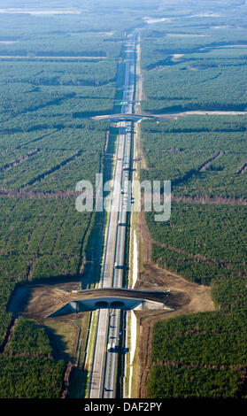 Datei - ein Archiv Bild datiert 25. November 2011 die polnische Autobahn A2 und Tierwelt Brücken abgebildet aus einem kleinen Flugzeug nahe der deutsch-polnischen Grenze Swiecko, Polen zeigt. Sechs Monate vor der europäischen Fußball-Europameisterschaft in Polen und der Ukraine die Verlängerung der Autobahn A12 abgeschlossen ist. Vom 1. Dezember 2011 die neue Autobahn von Fahrern einsetzbar, Pozn zu Stockfoto