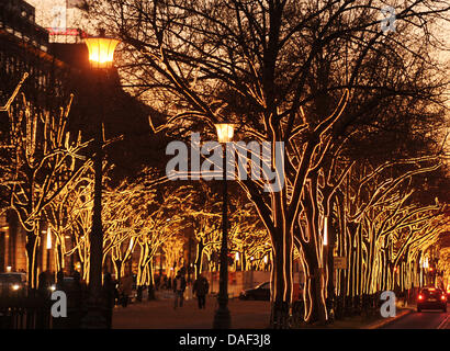 Die Boulevard Unter Den Linden ist mit beleuchteten Bäumen in Berlin, Deutschland, 29. November 2011 eingerichtet. Lichterketten wurden überall in Berlin für eine warme Atmosphäre zur Weihnachtszeit umgesetzt. Foto: Jens Kalaene Stockfoto