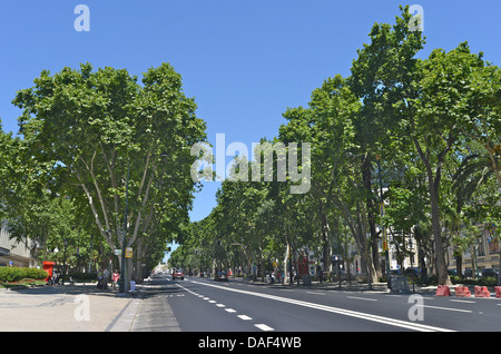 Avenida da Liberdade Allee Lissabon Portugal Stockfoto