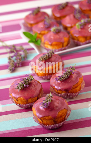 Lavendel-Cupcakes. Rezept zur Verfügung. Stockfoto