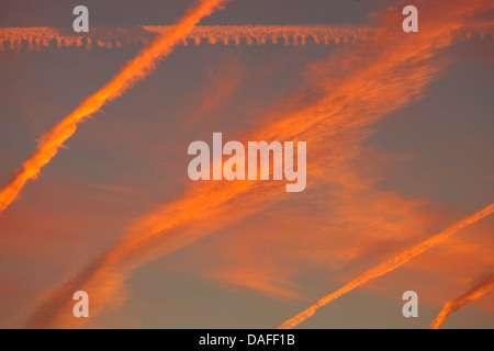 Kondensstreifen am Himmel im Morgenlicht, Deutschland Stockfoto