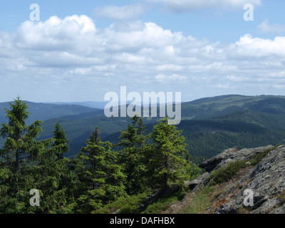 Blick vom Osser, Berg im Natur Park oberen Bayerischen Wald, Bayern, Deutschland Stockfoto