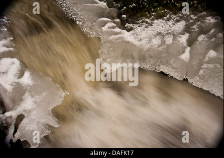 Geeiste Bach, Deutschland, North Rhine-Westphalia, Verl Stockfoto