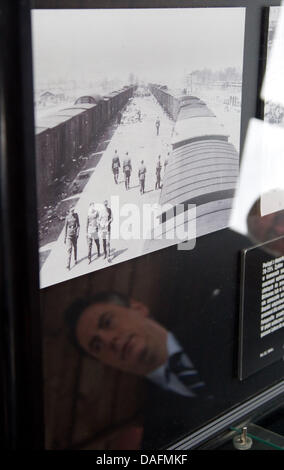 HANDOUT - datiert ein Handout Bild 5. Dezember 2011 zeigt Ministerpräsident des unteren Sachsen David McAllister Besuch der Gedenkstätte des ehemaligen Konzentration Lager Auschwitz-Birkenau anlässlich des 25-jährigen Jubiläums des International Youth Meeting Center Auschwitz in Oswiecim, Polen. Foto: FRISO GENTSCH / HANDOUT / redaktionelle Nutzung nur Stockfoto