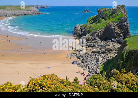 Küstenlandschaft der Broadhaven South Beach, Vereinigtes Königreich, Wales, Pembrokeshire Stockfoto