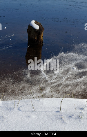 Chambon-Sees, Sancy Bergen am Rücken, Parc Naturel Regional des Vulkane d ' Auvergne Stockfoto