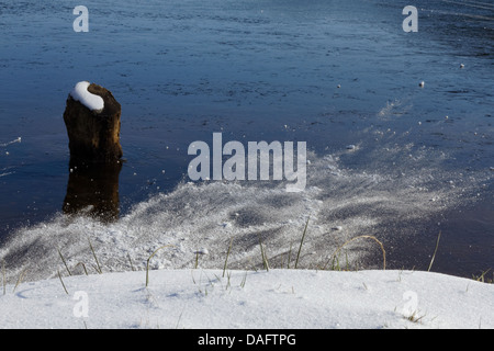 Chambon-Sees, Sancy Bergen am Rücken, Parc Naturel Regional des Vulkane d ' Auvergne Stockfoto