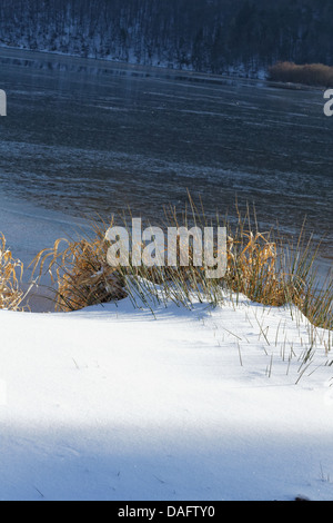 Chambon-Sees, Sancy Bergen am Rücken, Parc Naturel Regional des Vulkane d ' Auvergne Stockfoto