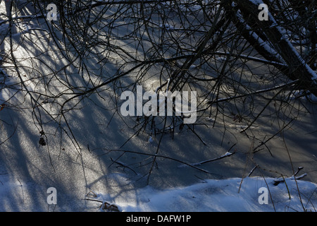 Chambon-Sees, Sancy Bergen am Rücken, Parc Naturel Regional des Vulkane d ' Auvergne Stockfoto