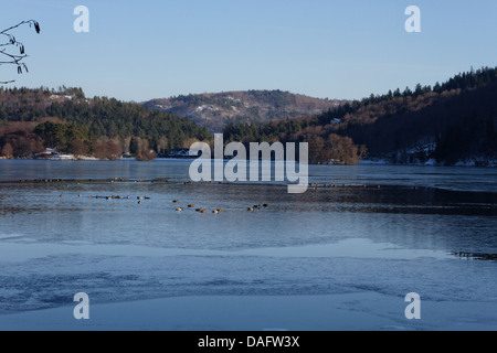 Chambon-Sees, Sancy Bergen am Rücken, Parc Naturel Regional des Vulkane d ' Auvergne Stockfoto