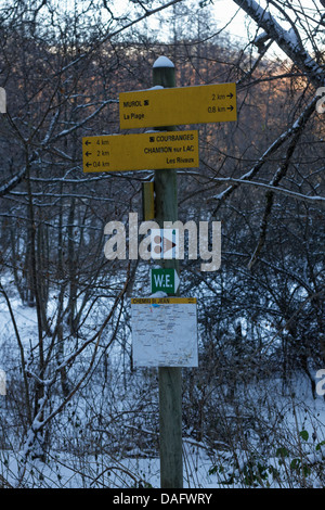 Chambon-Sees, Sancy Bergen am Rücken, Parc Naturel Regional des Vulkane d ' Auvergne Stockfoto