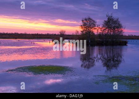 Sonnenaufgang über dem renaturierten Goldenstedter Moor, Deutschland, Niedersachsen Stockfoto