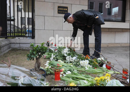 Ein Mann legt Blumen vor der japanischen Botschaft in Berlin, Deutschland, 13. März 2011. Deutschen Beileid in der Zeit nach dem Erdbeben und Tsunami, die Teile Japans verwüstet und getötet und Tausende von Menschen verletzt. Foto: Jörg Carstensen Stockfoto