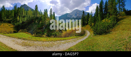 Zwischensprint mit Blick auf Dolomiten, Naturpark Fanes-Sennes-Prags, Gaislkoepfe, Italien, Sued Tirol Stockfoto