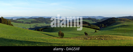 Sauerland in der Nähe von Oberhenneborn mit Blick in Richtung Meschede, Deutschland, Nordrhein-Westfalen, Sauerland Stockfoto