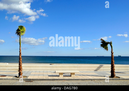 Promenade mit zwei Palmen, Spanien, La Linea De La Concepcion Stockfoto