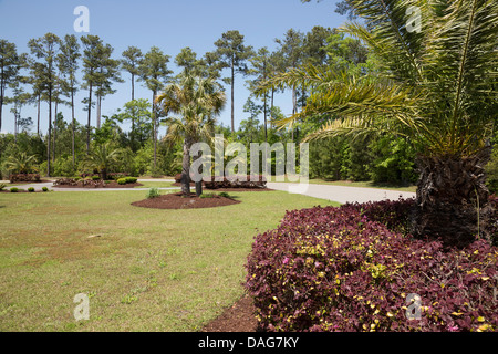 Murrells Inlet Wohngegend, South Carolina, USA Stockfoto