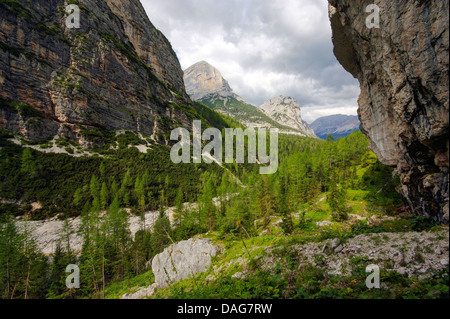 Val Ravenanzes in der Natur Park d ' Ampezzo, Italien, Südtirol, Dolomiten Stockfoto