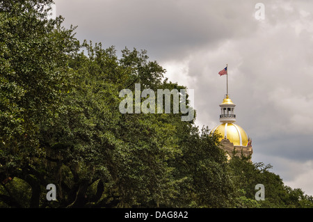 goldene Kuppel der Savanne Rathaus Stockfoto