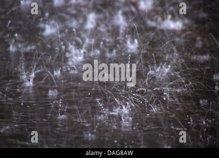 heftiger Schauer, Deutschland, Hamburg Stockfoto